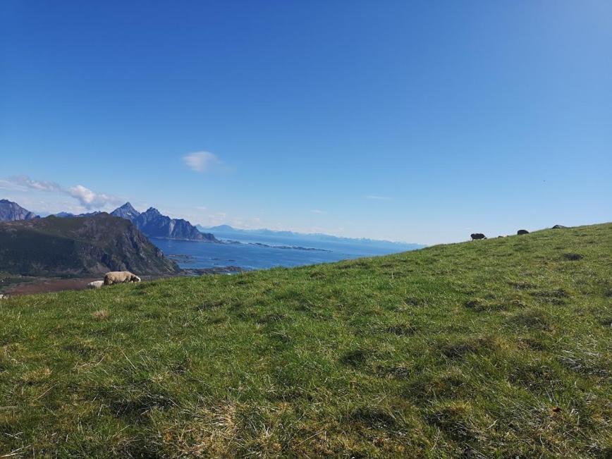 Glamping Lofoten Kongsjorda Exterior photo